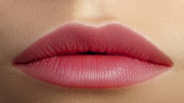 Close up of beautiful woman lips with plum matt tint. Daily make-up with lipstick. Cosmetology or fashion makeup concept. Macro beauty studio shot. Passionate kiss on Valentines day.