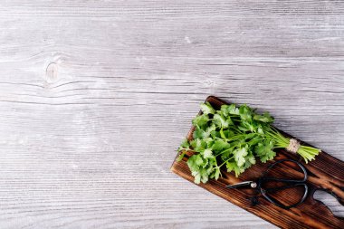 Ahşap tahta üzerinde taze kişniş