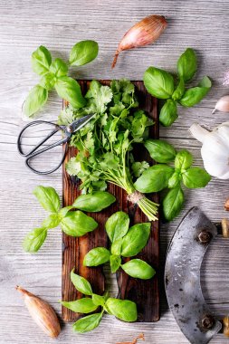 Taze kişniş ve fesleğen