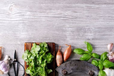 Taze kişniş ve fesleğen