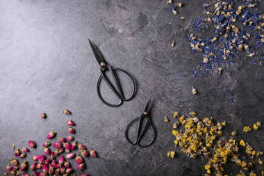 Kuru çiçek çeşitleri