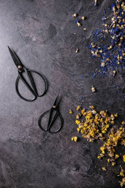 Kuru çiçek çeşitleri