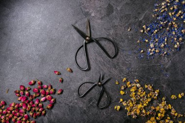 Kuru çiçek çeşitleri