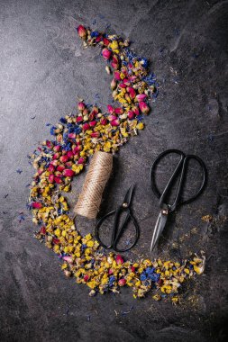 Kuru çiçek çeşitleri