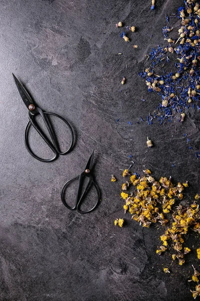 Kuru çiçek çeşitleri