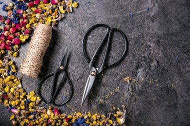 Kuru çiçek çeşitleri