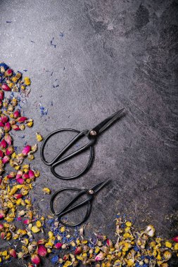 Kuru çiçek çeşitleri