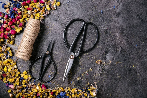 Kuru çiçek çeşitleri