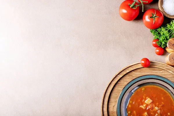 Tomaat en plantaardige soep — Stockfoto