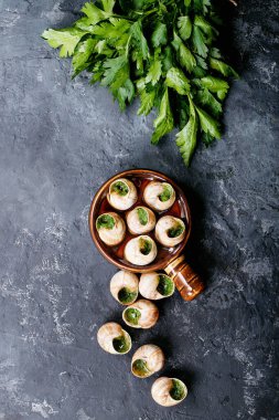 Sarımsaklı tereyağlı fırında salyangoz ve seramik kapta taze otlar. Üst manzara, düz yatış. Boşluğu kopyala