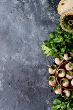 Sarımsaklı tereyağlı fırında salyangoz ve seramik kapta taze otlar. Üst manzara, düz yatış. Boşluğu kopyala