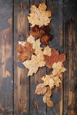 Koyu ahşap arka planda sonbahar portakal yaprakları. Üst manzara, düz yatış. Boşluğu kopyala