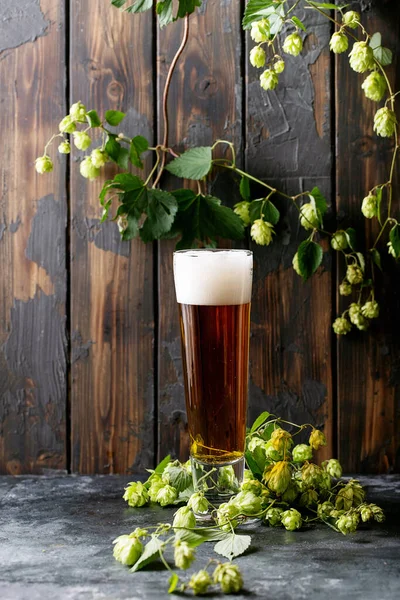 Bier Glaskrug Mit Grünem Frischem Hopfen Über Dunklem Hintergrund — Stockfoto
