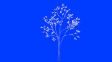 mimari kullanım için izole tel kafes olarak bir döngü ağaç animasyon 3D render