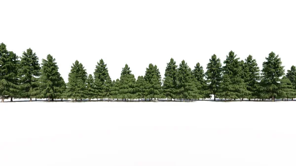 Renderização Grupo Árvore Crua Para Uso Arquitetural Fundo Isolado Branco — Fotografia de Stock