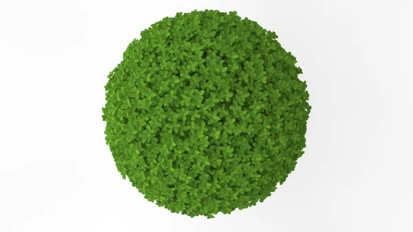 白い背景に分離された緑の植物の レンダリング — ストック写真