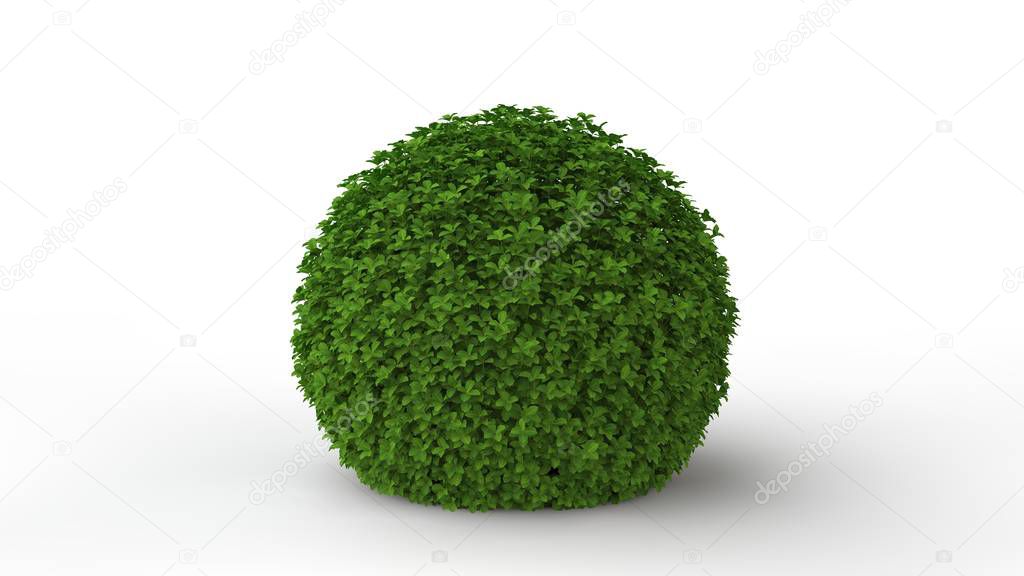 3d rendering of a green plant isolated on a white background