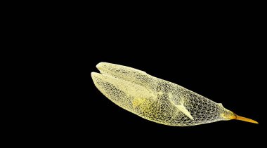 siyah bir arka plan üzerinde izole bir hayvan tel çerçeve 3B oluşturma