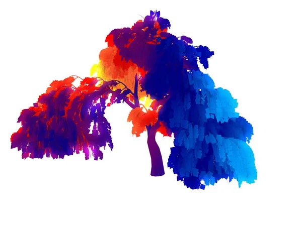 Rendering Albero Colorato Arcobaleno Isolato Sfondo Bianco — Foto Stock