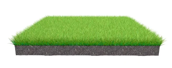 Rendering Van Een Gras Patch Geïsoleerd Een Witte Achtergrond — Stockfoto