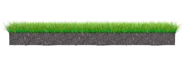 Rendering Van Een Gras Patch Geïsoleerd Een Witte Achtergrond — Stockfoto