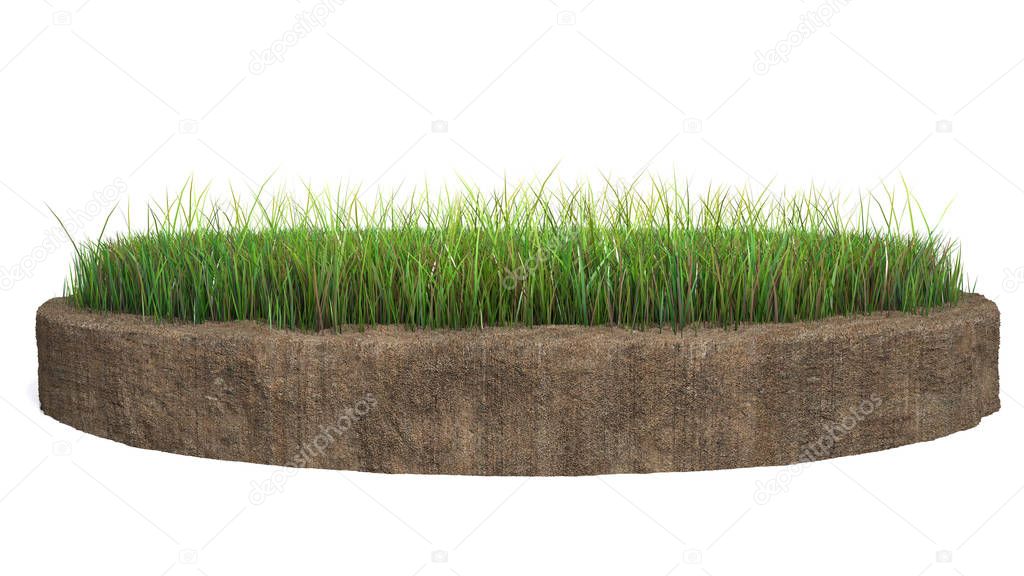 3d rendering of a grass patch isolated on a white background