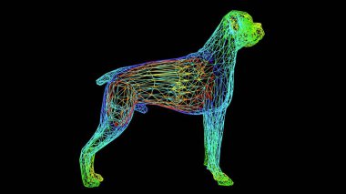 siyah üzerinde izole renkli halat hatları ile yapılan sanatsal bir nesnenin 3D render