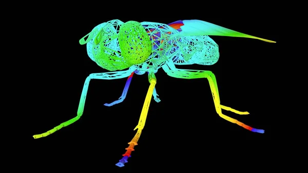 Representación Objeto Artístico Hecho Con Líneas Cuerda Colores Aislados Negro — Foto de Stock