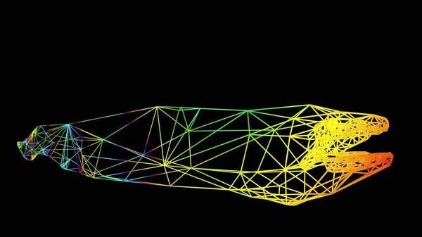 Representación Objeto Artístico Hecho Con Líneas Cuerda Colores Aislados Negro — Foto de Stock