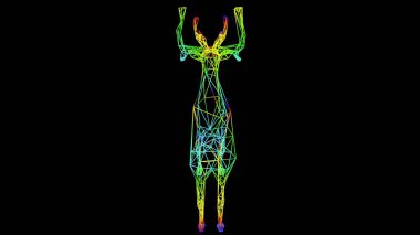 siyah üzerinde izole renkli halat hatları ile yapılan sanatsal bir nesnenin 3D render