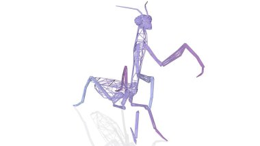 Beyaz arka planda izole yansıma ile sanatsal bir hayvanın 3D render