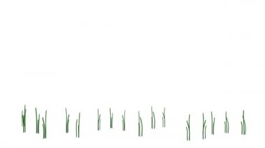 Beyaz izole büyüyen gerçekçi bitkinin 3d render