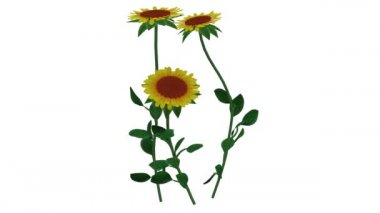 Beyaz arka plan üzerinde izole büyüyen gerçekçi bitki 3d render