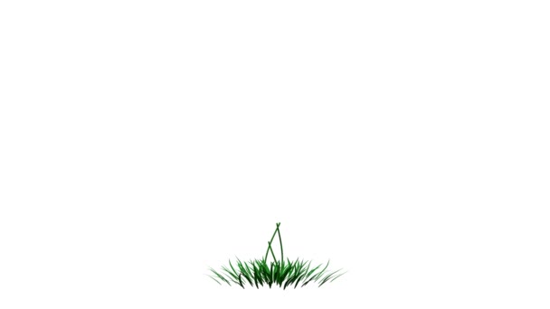 rendu 3d d'une plante réaliste en croissance isolée sur blanc 