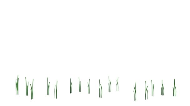 rendu 3d d'une plante réaliste en croissance isolée sur blanc 