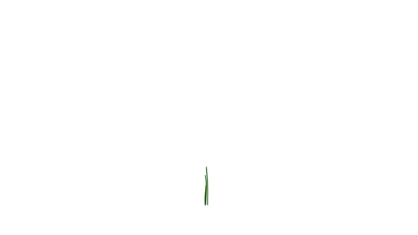 rendu 3d d'une plante réaliste en croissance isolée sur blanc 