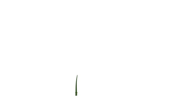 3d rendering of a growing realistic plant isolated on white background — Stock Video