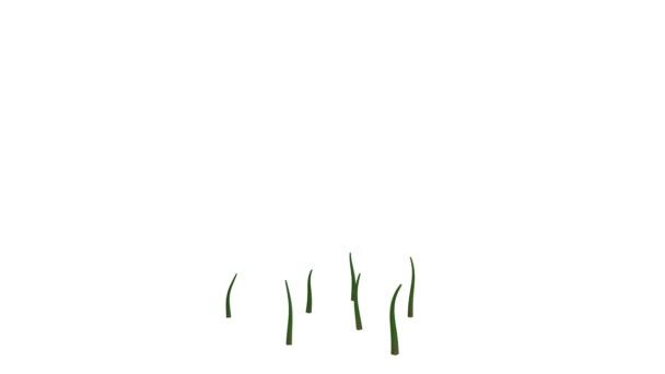 rendu 3d d'une plante réaliste en croissance isolée sur fond blanc 
