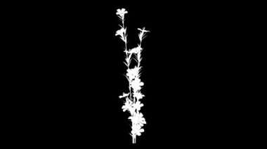 Beyaz izole büyüyen gerçekçi bitkinin 3d render