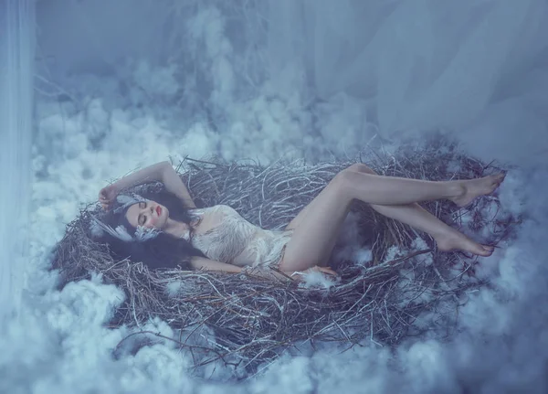 股票插图天鹅湖 那个女孩躺在窝里 开玩笑地挥动着腿 天鹅皇后的童话形象 一件鸵鸟羽毛西装 有羽毛的有趣发夹 — 图库照片