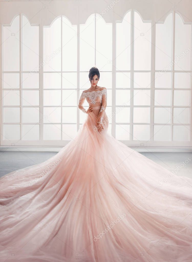 A young princess in an expensive, luxurious dress with a long train stands against the background of a vintage, high window. Interior in the style of a loft. High hairstyle, bright makeup