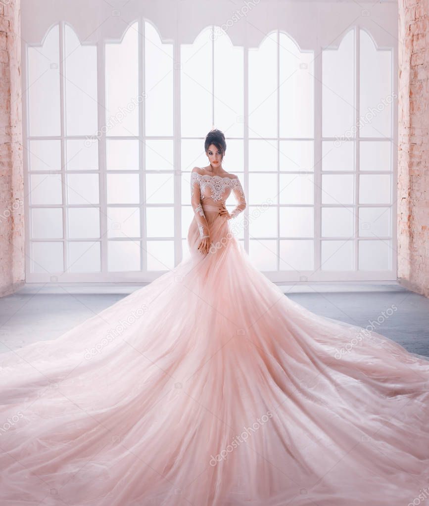A young princess in an expensive, luxurious dress with a long train stands against the background of a vintage, high window. Interior in the style of a loft. High hairstyle, bright makeup