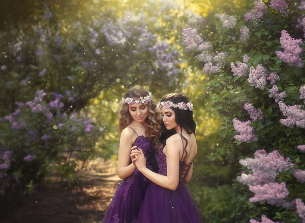 两个女朋友 一个金发碧眼的黑发女郎 爱拥抱对方 一个美丽的盛开的丁香花园的背景 公主们穿着豪华的紫色连衣裙 波浪状的头发 — 图库照片