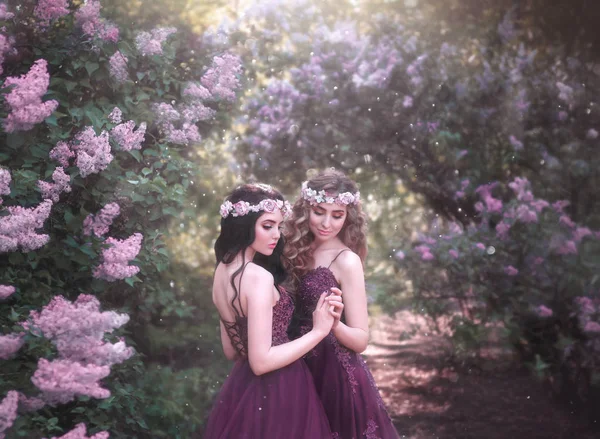 Två Systrar Prinsessor Lyxiga Lila Klänningar Med Långa Tåg Kram — Stockfoto