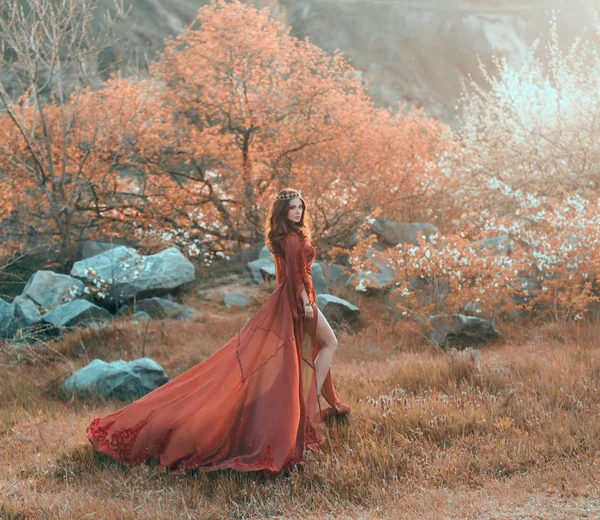 Uma Menina Morena Com Uma Coroa Dourada Vestido Vermelho Longo — Fotografia de Stock