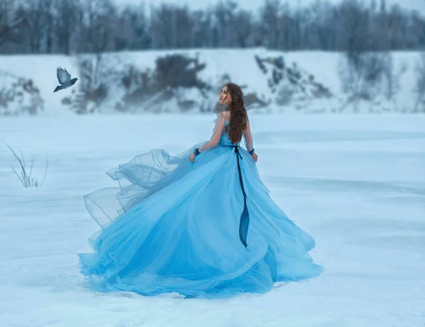 灰姑娘穿着豪华 郁郁葱葱 蓝色的连衣裙 有一辆宏伟的火车 一个女孩在冰雪覆盖的冰冻湖泊上行走 在她的苍蝇附近 女人微笑着对她的会议 艺术照片 — 图库照片