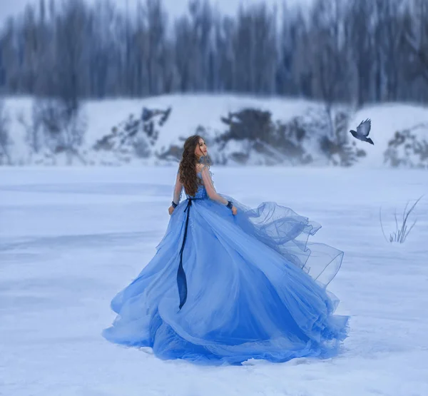 雪の女王は 長い列車の豪華な緑豊かなドレスに 女の子雪で覆われて凍った湖の上を歩きます 彼女の側で郵便鳥が飛んできて 彼女は良いニュースを期待して希望に見えます アート — ストック写真
