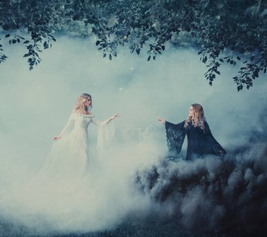 İki kadın yin yang sis. Karanlık büyücü parlak bir büyücü kadın tanışır. Güçlü cadı ormanda hokkabaz. Siyah ve beyaz duman. Kızlar bulutlar. Sanatsal fotoğraf.