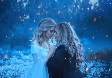 Öğelerin, karşıtların, iki kız birbirlerine sevgi ile sevimli seviyorum. Arka sis ve gizemli orman. Çevrelerindeki, kıvılcım, sihirli yanıp söner. Yin ve yang. Sanatsal fotoğraf.