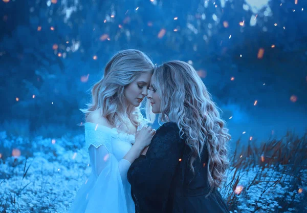 两个女孩的元素 对立的 爱对方的可爱与亲情 背景雾和神秘的森林 在他们周围 闪光的魔力 艺术摄影 — 图库照片